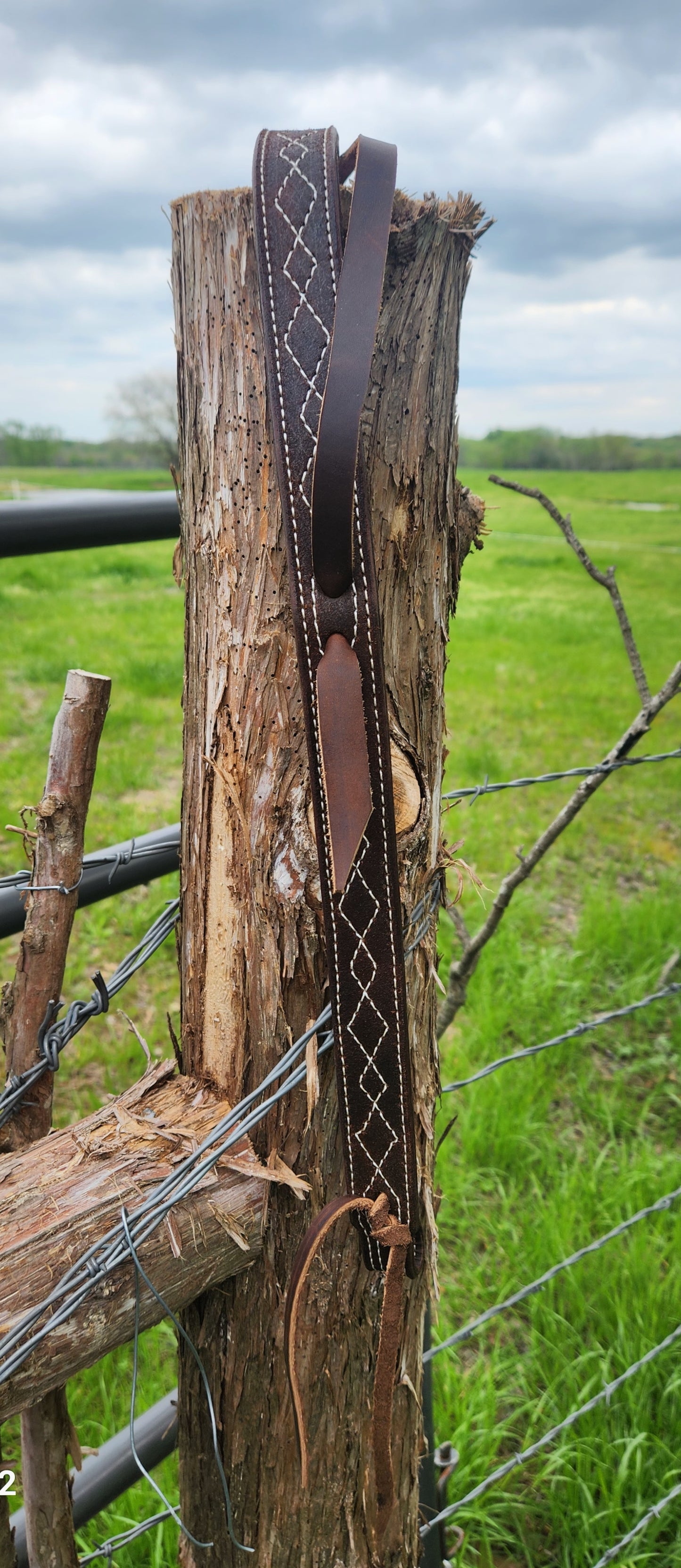 Single ear headstall