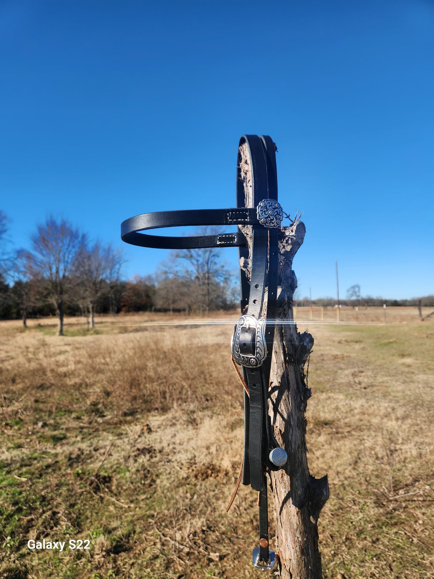 Browband headstall