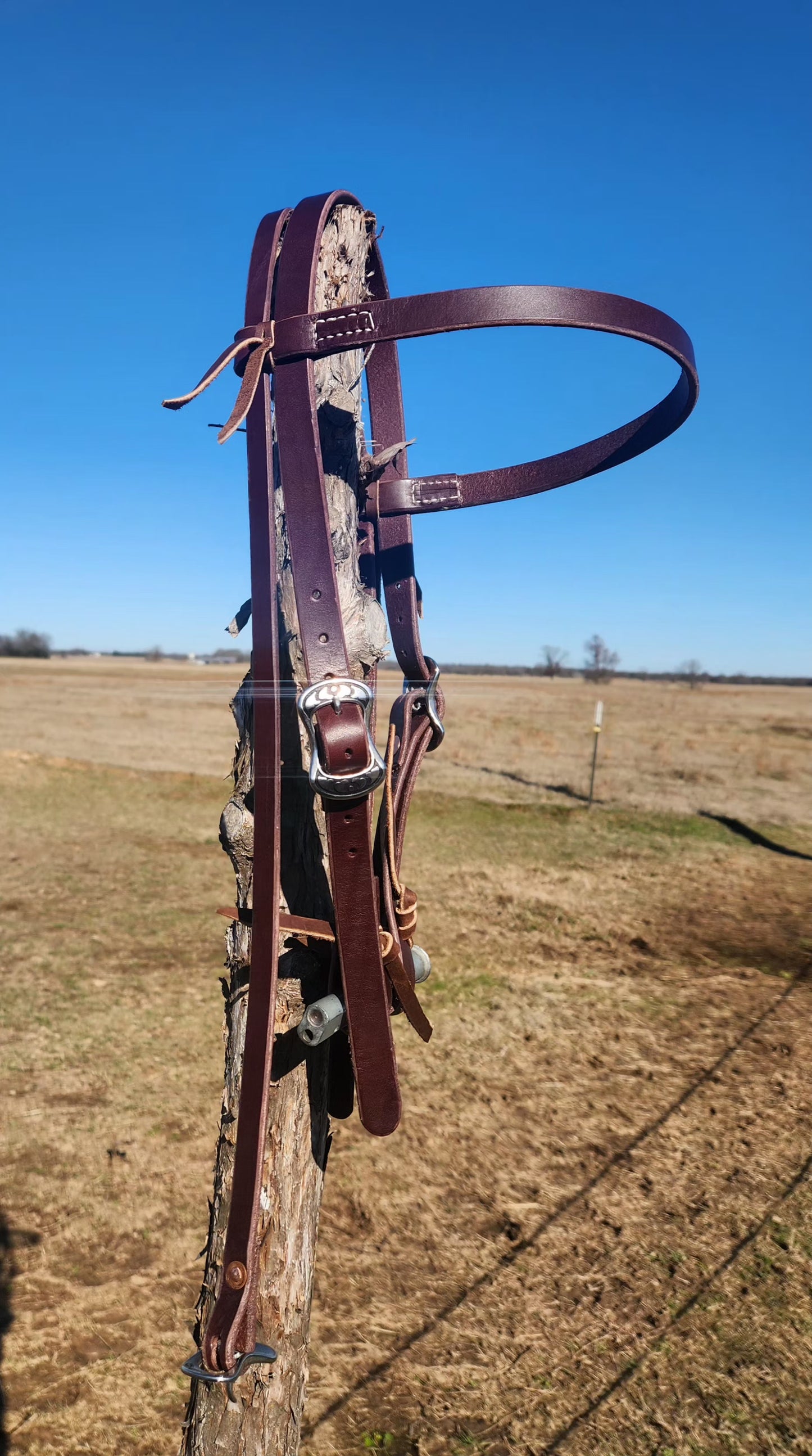 Browband headstall