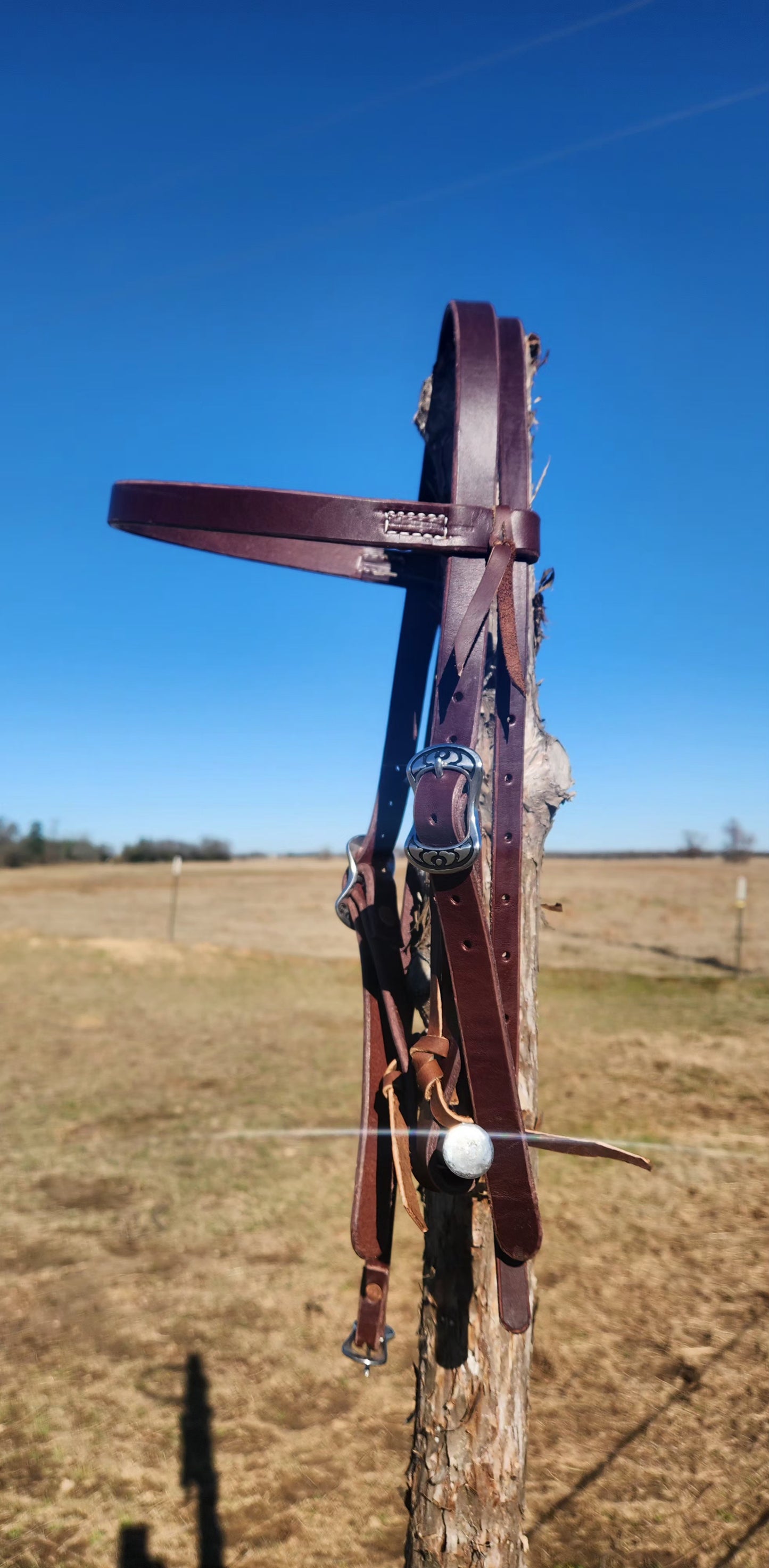 Browband headstall