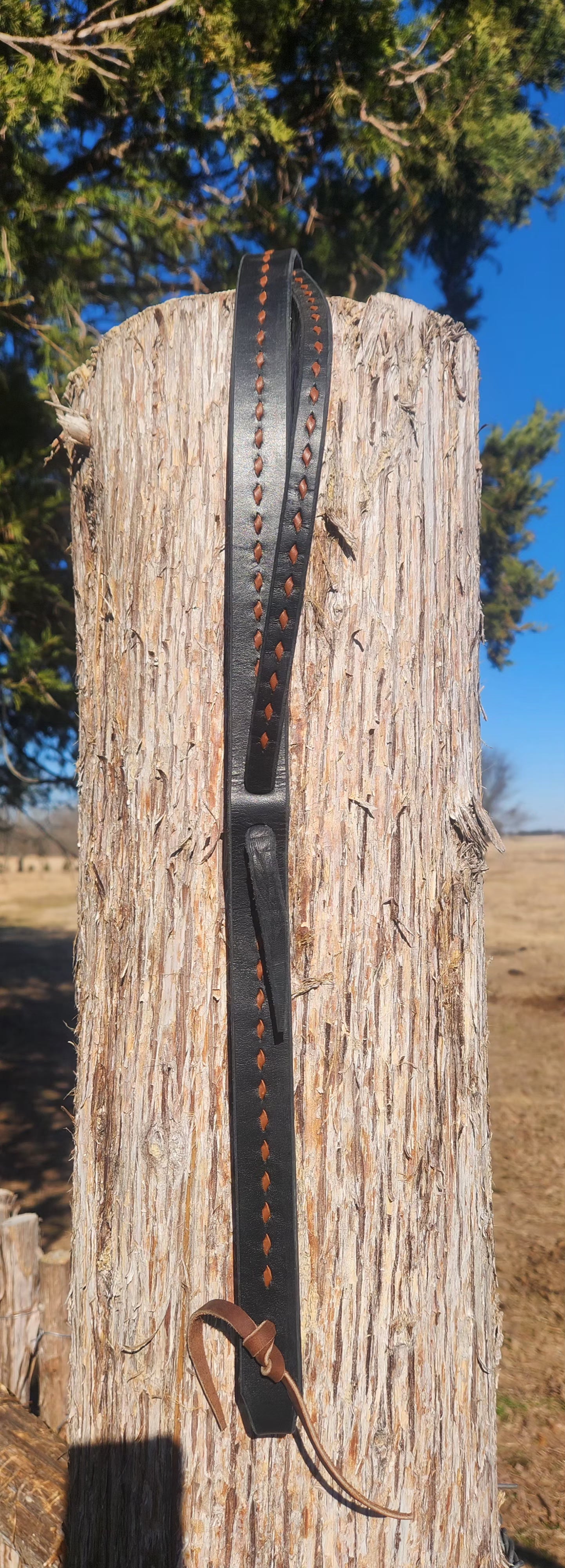 Brown buck stitched headstall