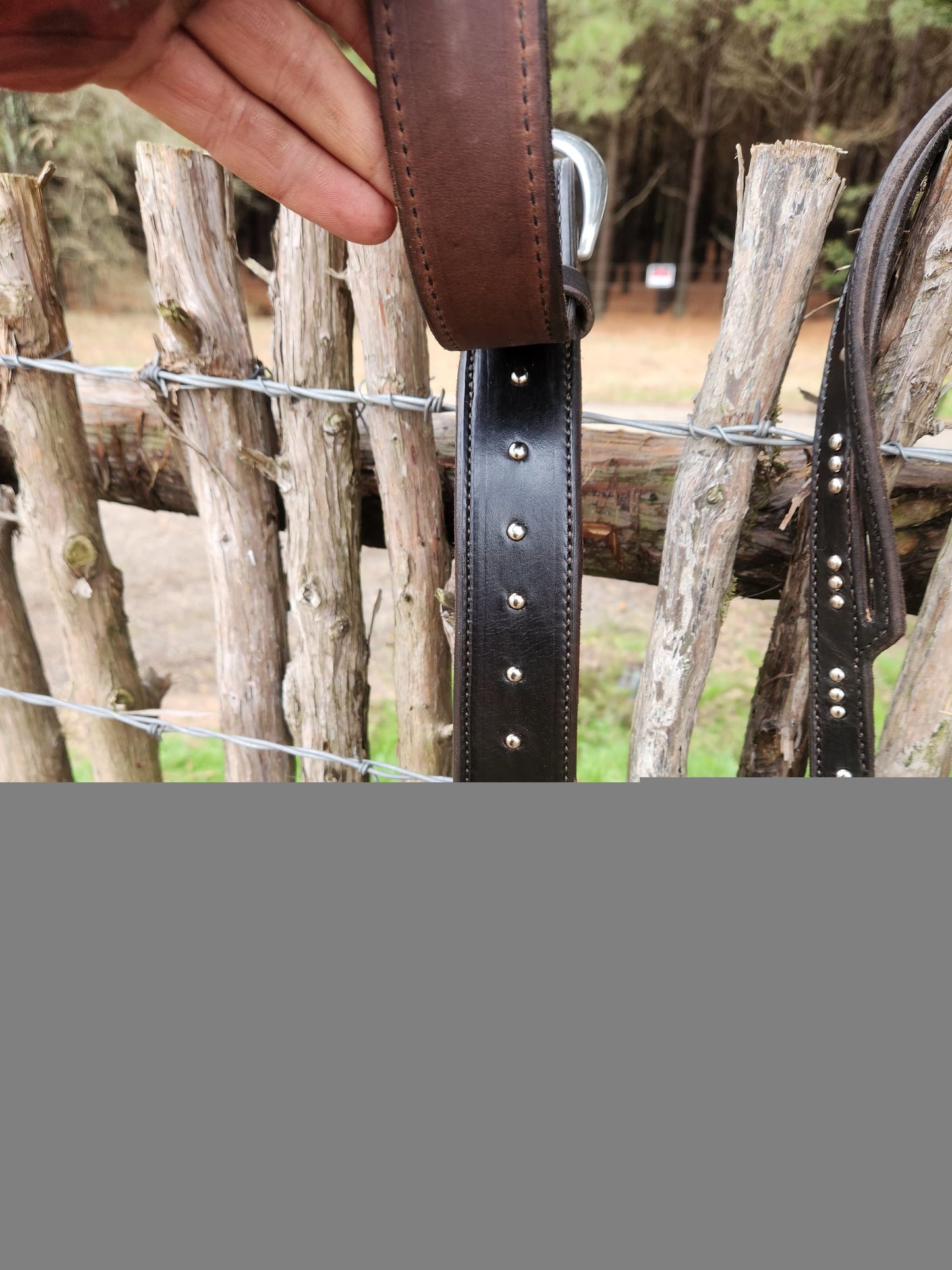 Untitled Feb13_09:06