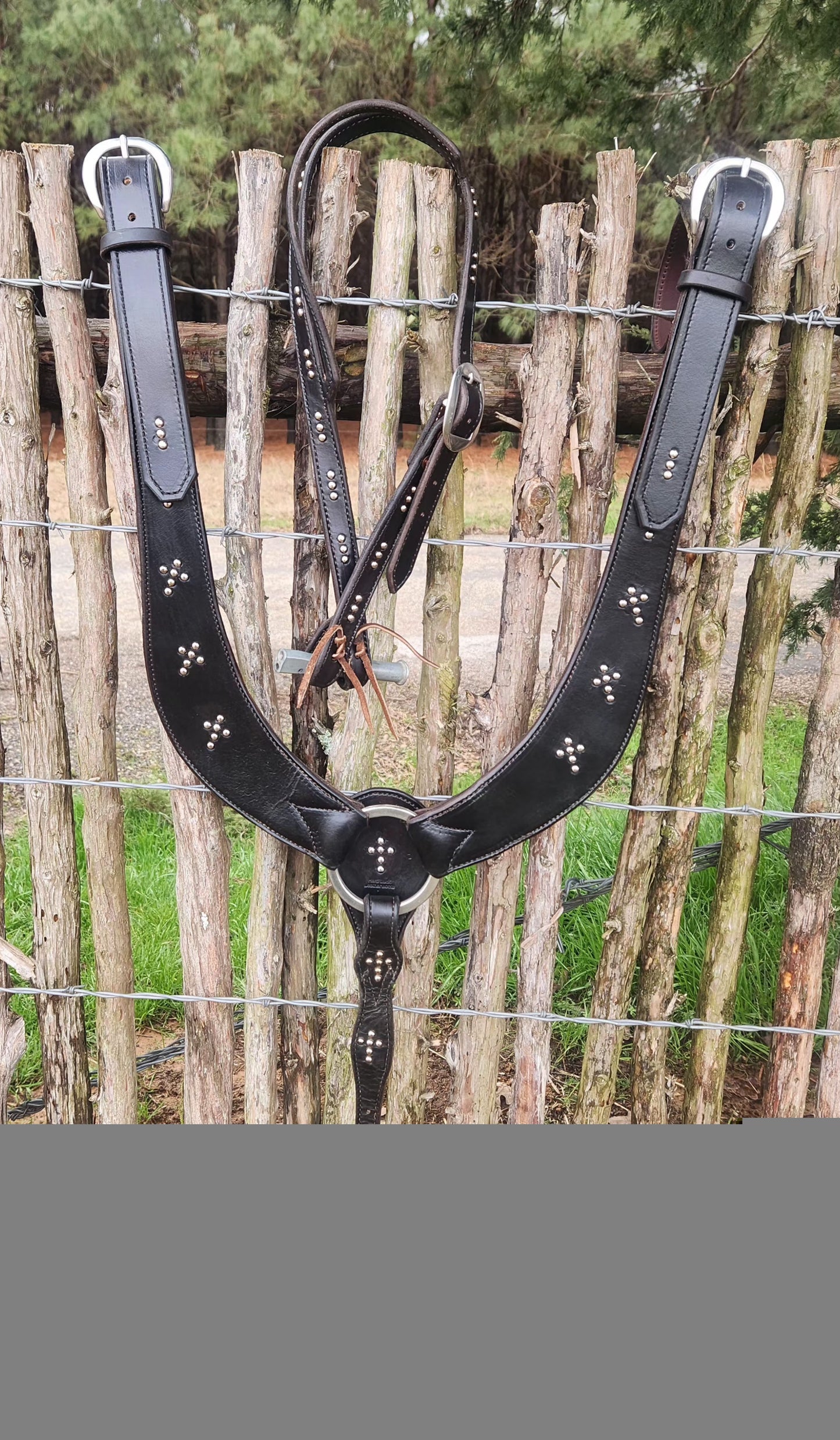 Untitled Feb13_09:06