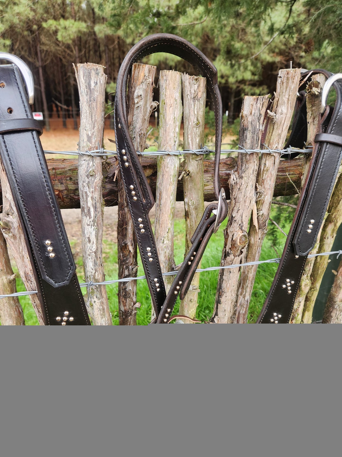 Untitled Feb13_09:06