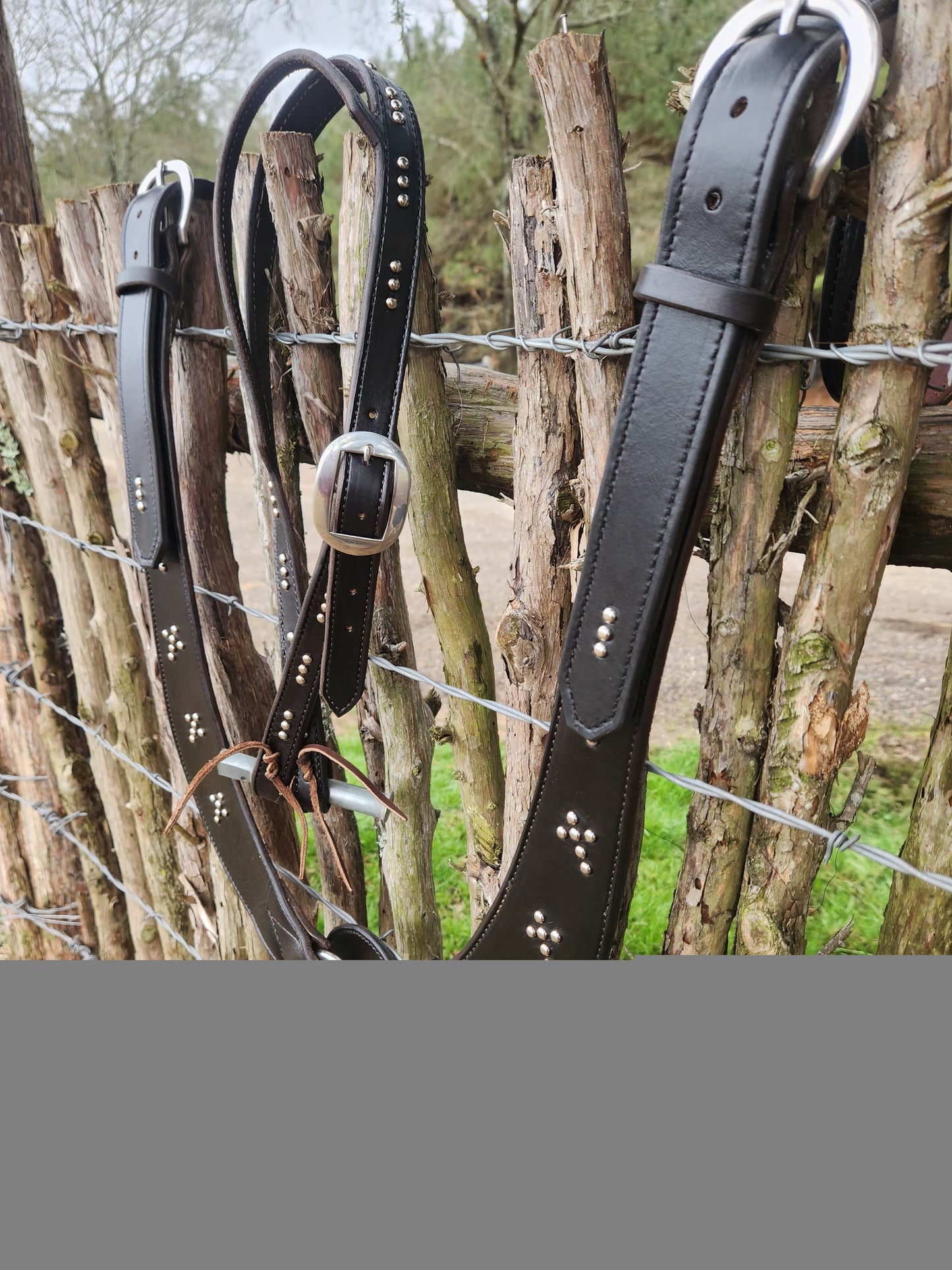 Untitled Feb13_09:06