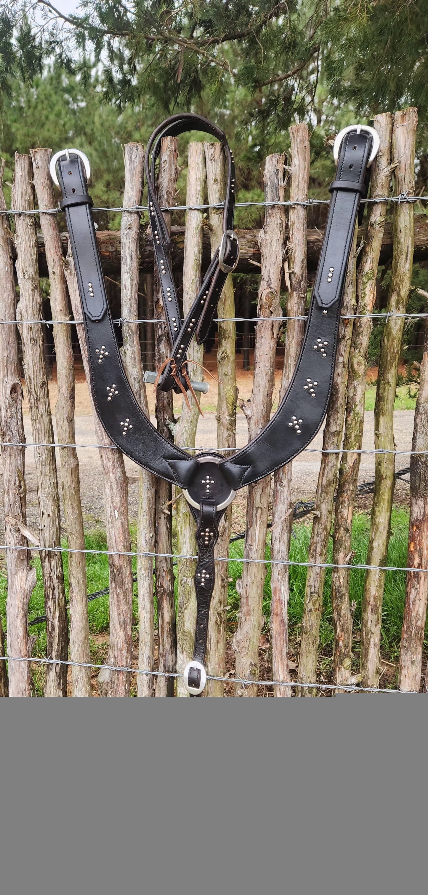 Untitled Feb13_09:06