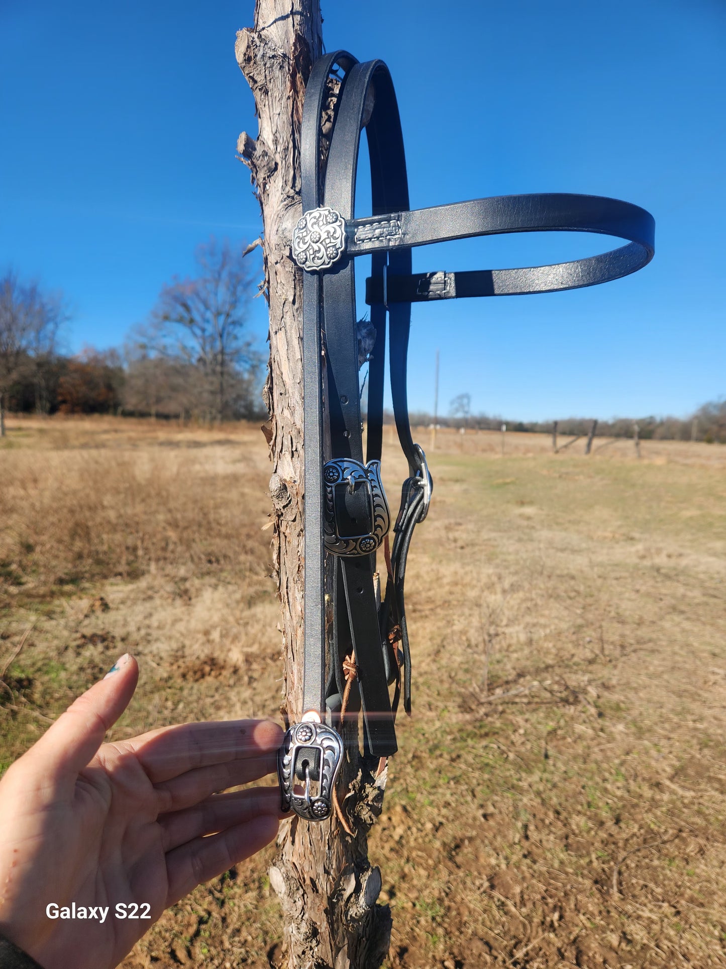 Browband headstall