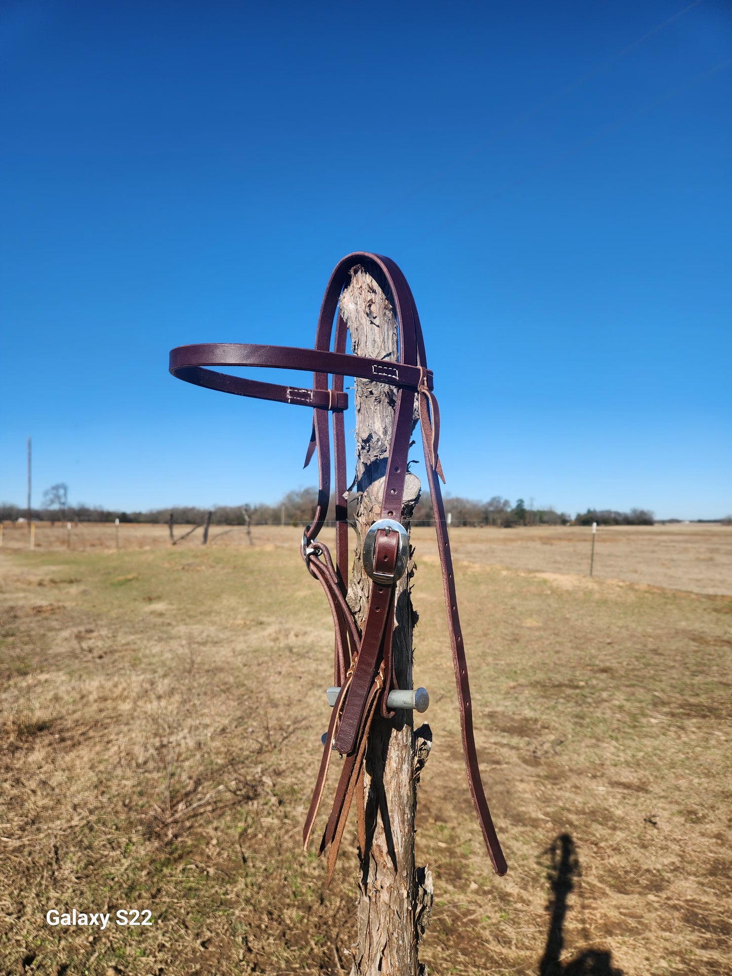 Browband headstall